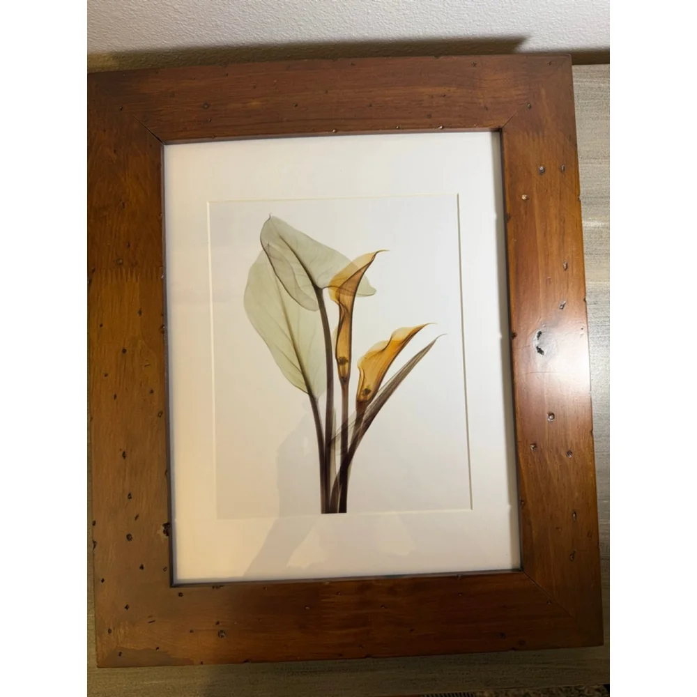 Framed Calla Lily art print approx. 15x18”